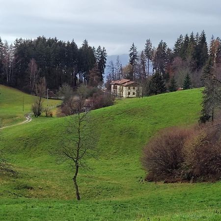 Green House Mountain Lake Iseo Hospitality Lejlighed Bossico Eksteriør billede