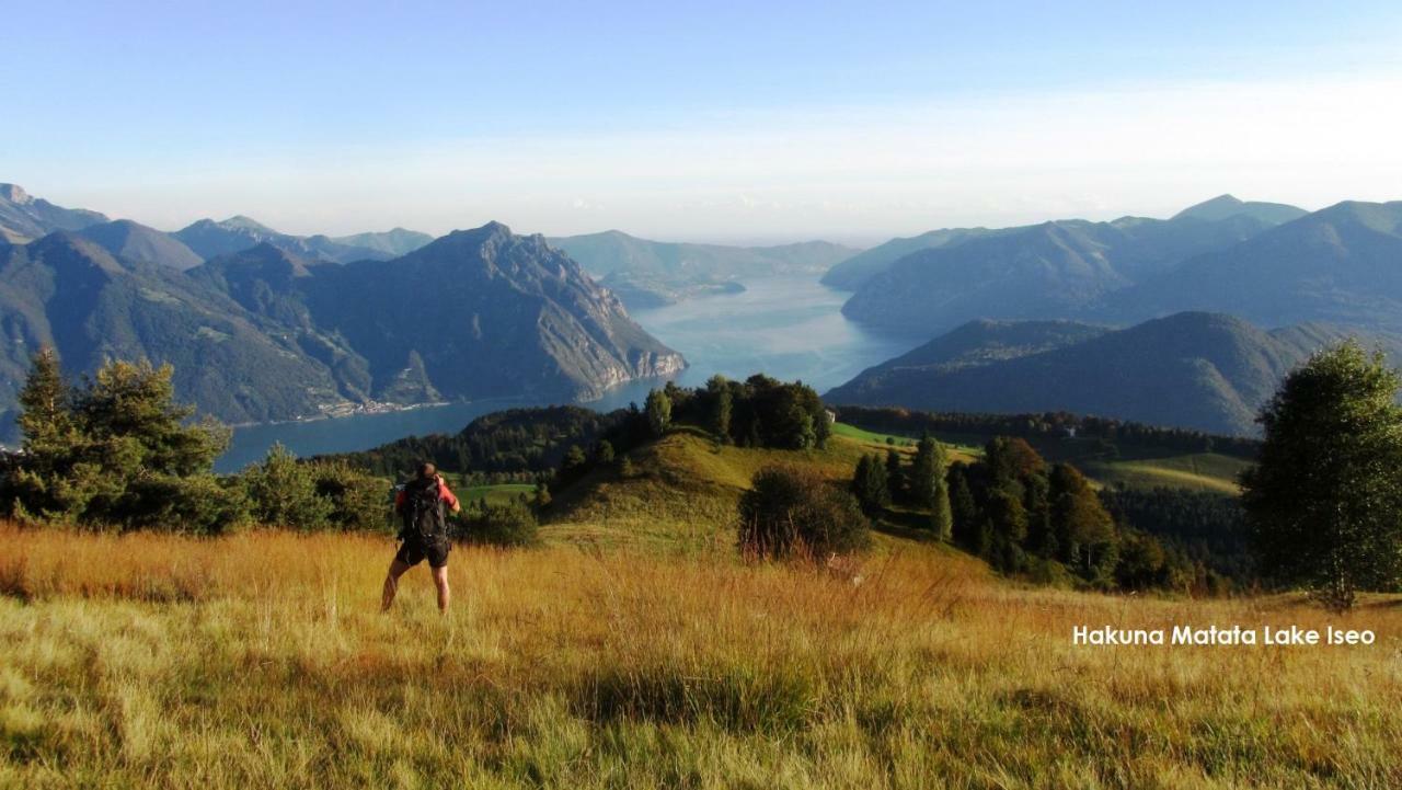 Green House Mountain Lake Iseo Hospitality Lejlighed Bossico Eksteriør billede